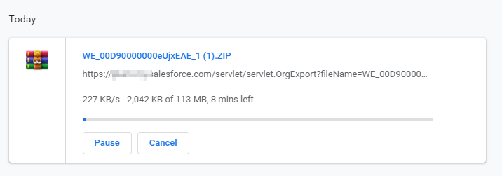 Wait-for-the-Saleforce-Zip-File-to-download